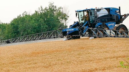 149536_web1_37-5-col-RHB_081521_wheat3.jpg