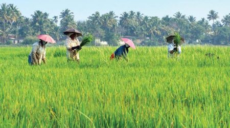 1904299-farmers.jpg