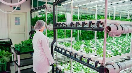 20770agtech_tecnologia_alimentaria_resiliente_clima.jpg