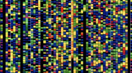 250624_AlphaGenome.jpg