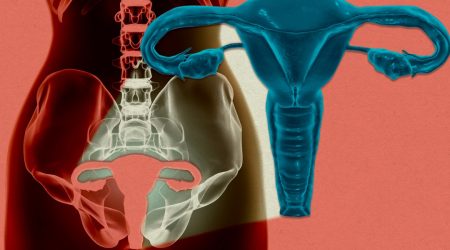 260326_uterus.jpg