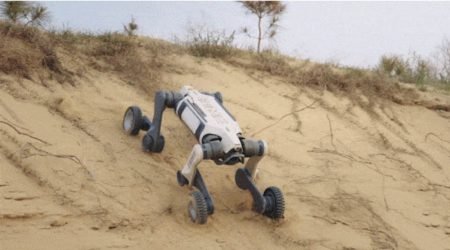 AI-Drones-and-Laser-Weeding-Robots-Reshape-Farming-in-Chinas-Grain-Heartland.jpg