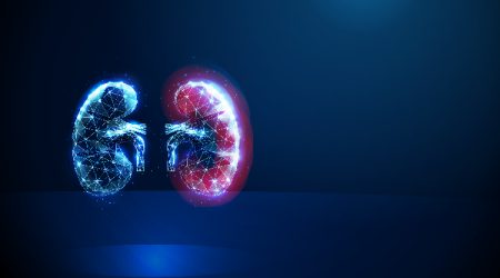 AI-human-kidneys.png