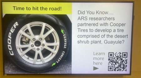 ARS-tires.jpg