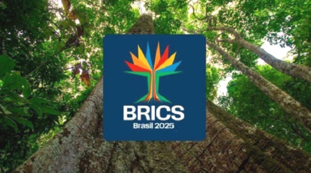 BRICS.png
