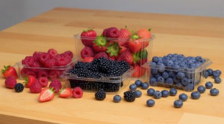 Berry-punnets-Multisteps-image-Copy-scaled.jpg