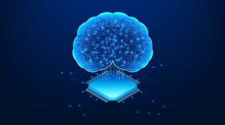 Brain.jpg