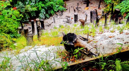 DSC_0217-EDIT.jpg