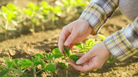 FDA20APHIS20Agriculture20Farming20Farmer-132409235.jpg.webp