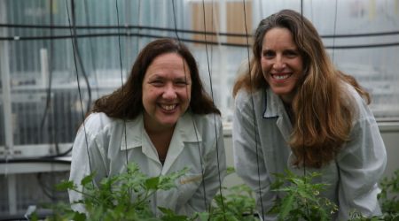 Finally-Foods-cofounders-Dr-Basia-Vinocur-left-and-Dafna-Gabbay-right-Image-credit-Finally-Foods.jpg