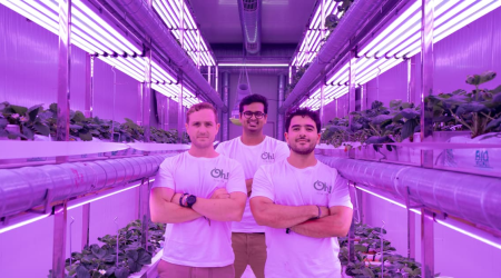 Fragaria-Fruits-Founders-SM.png
