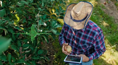 HarvestReplay-Press-Release-Image.jpg