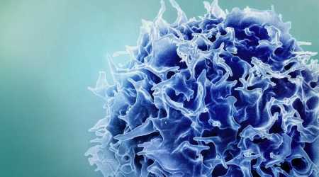 MIT_Immune-remodeling_Tcell-01-press_0.png