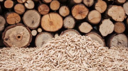 MNRE-Introduces-IoT-Based-Monitoring-of-Data-Under-Biomass-Energy-Program.jpg