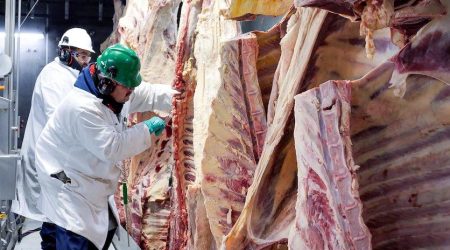 Meat_processing_processor_beef.jpg
