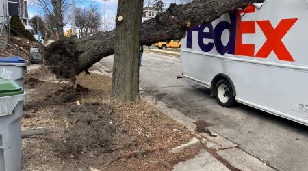 Milwaukee-Tree-on-FedEx-truck-2.jpg
