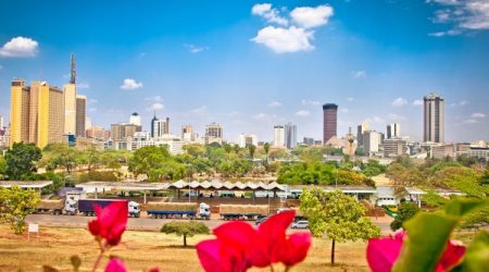 Nairobi5_flowers_smart_cities_Adobe_rt.jpg