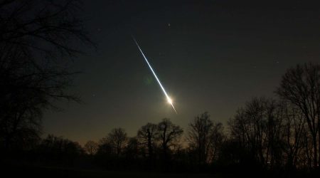 SEI_266473748.jpg