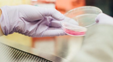 aab64870-7536-11ed-a3fb-c3ecfd4d7d74-lab_test_biotech_research_big.jpg