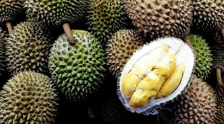 af6a680e-durian-bernama-resize-291025-1.webp.jpeg