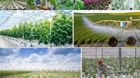 agriculture-3714-7335.jpg