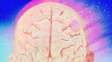 bci-brain2.jpg