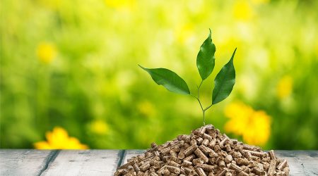 bigstock-Biomass-125585642.jpg