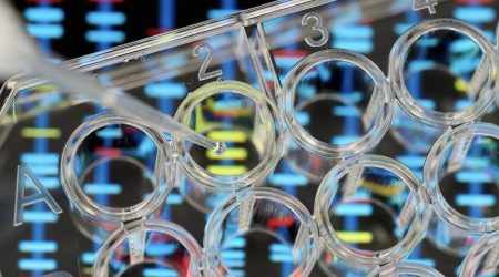 debut-biotechnology.c4slA2p7t3.jpg