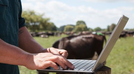 farm-laptop-1.jpeg