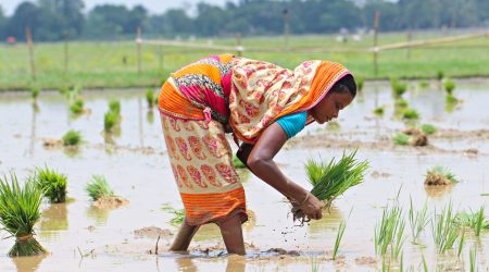 food-security-farming.jpg