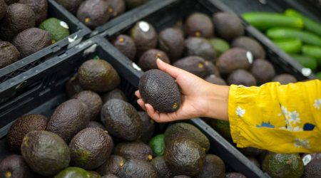 food-waste-startup-usimage-recGusYbLF3JYFGIO-1.jpg