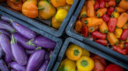 fruit_vegetable_pepper_eggplant.jpg