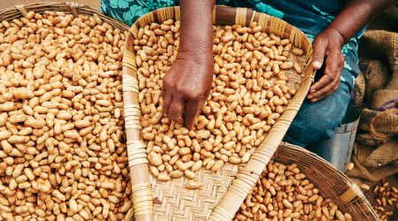 fsrd-02-woman-with-peanuts_1200x800.jpg