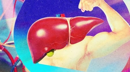liver-perfusion.jpg