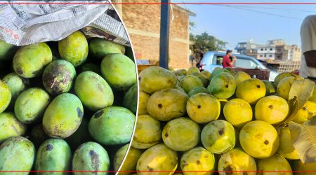 mango_rH45opHDl8.jpg
