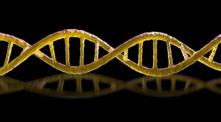 mirror-dna.jpg
