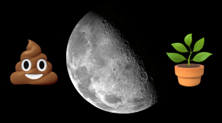 poop-plant-moon.png