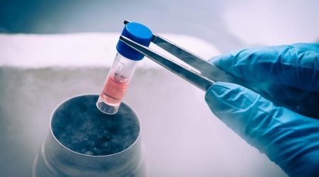 stemcelltechnology_08_14_2026_23_00_51_782317.jpg
