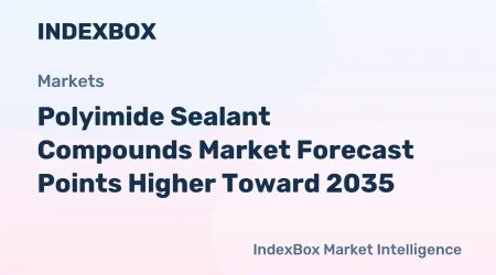 world-polyimide-sealant-compounds-market-analysis-forecast-size-trends-and-insights-1781316117.webp.webp